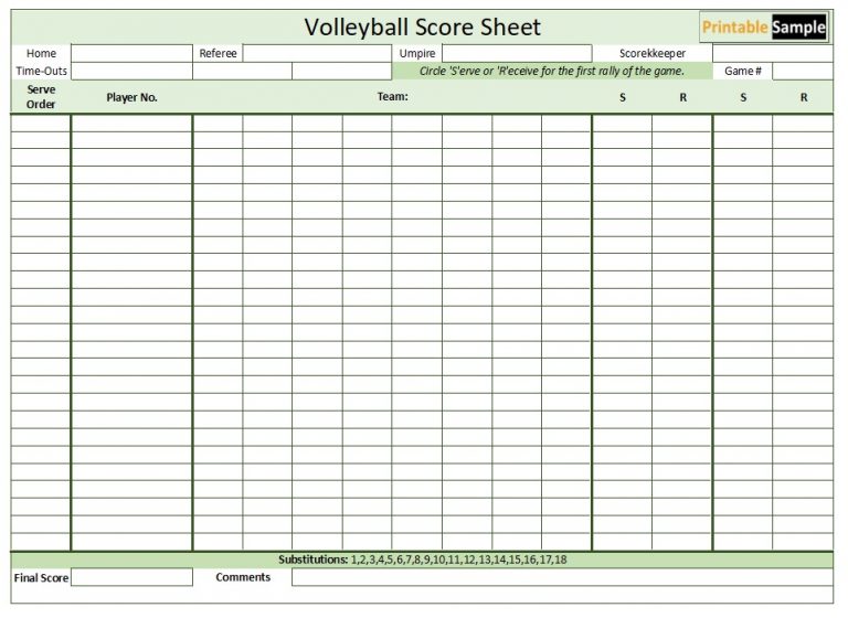 14 Free Sample Volleyball Score - Volleyball Score Sheet Template 05 768x560 