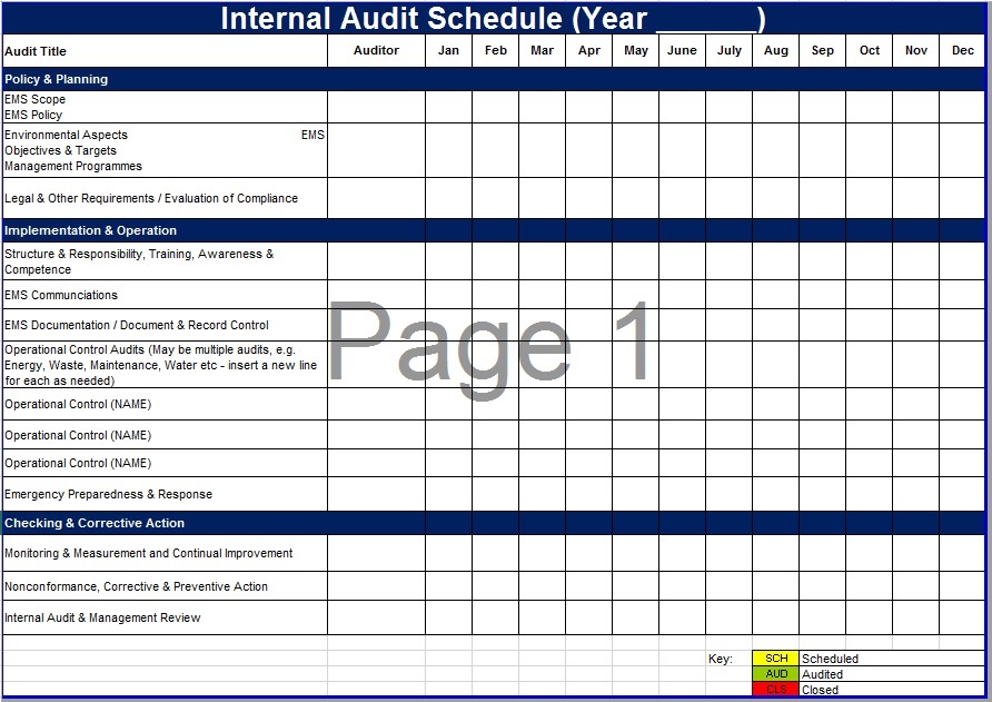 Internal Audit Plan Template