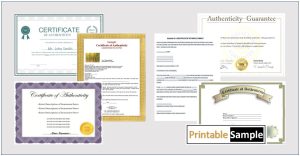 authenticity certificate templates image