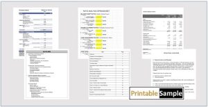 financial analysis sheet templates image