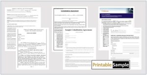 COHABITATION AGREEMENT TEMPLATES IMAGE