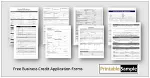 Business Credit Application Forms