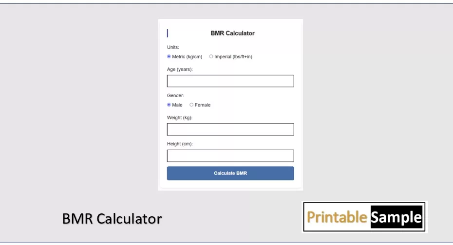 BMR Calculator